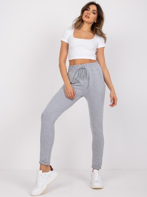 Spodnie dresowe RV-DR-3698.05X szary S