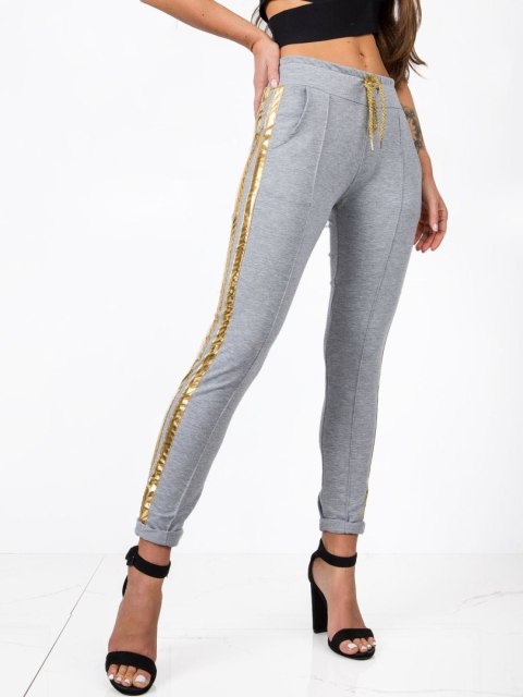 Spodnie dresowe RV-DR-5408.28P szary XL