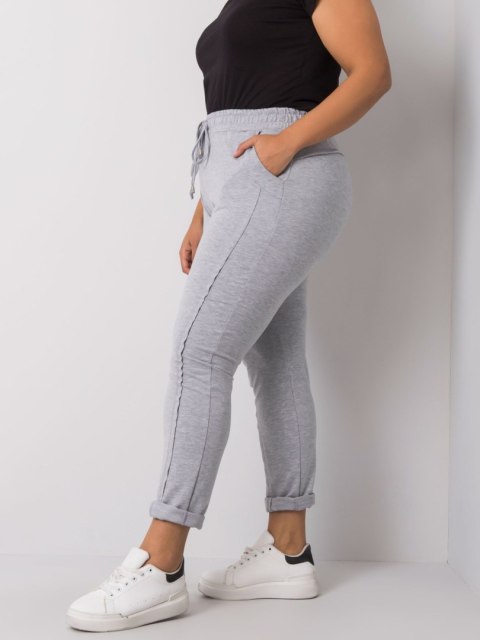 Spodnie dresowe RV-DR-6300.19 szary 4XL