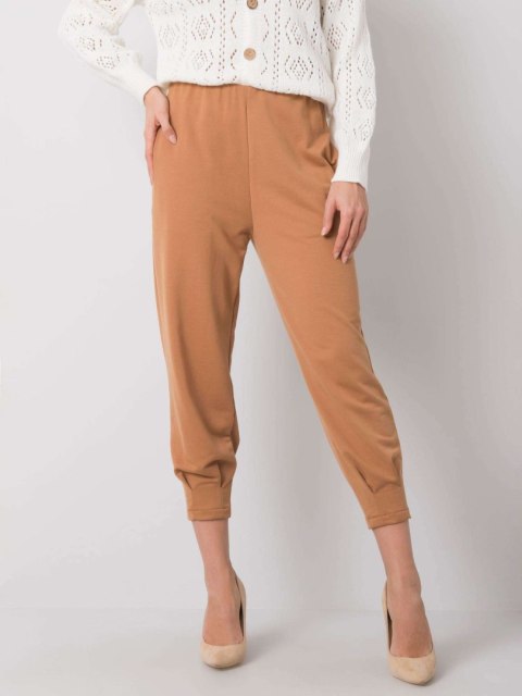 Spodnie dresowe 217-DR-25676.78P camelowy S Spodnie dresowe 217-DR-25676.78P camelowy S