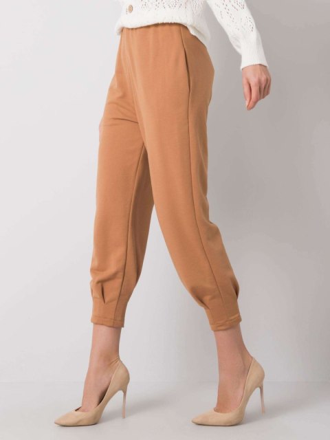 Spodnie dresowe 217-DR-25676.78P camelowy S Spodnie dresowe 217-DR-25676.78P camelowy S