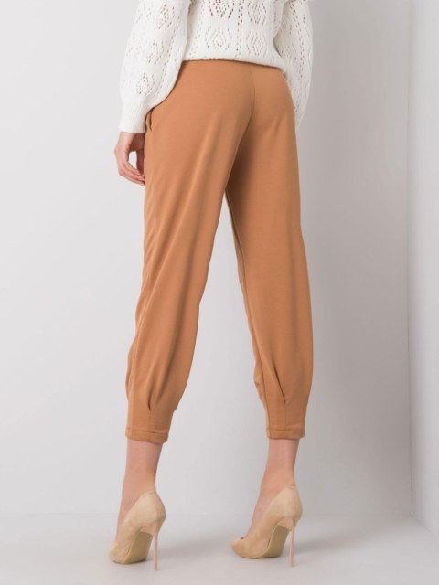 Spodnie dresowe 217-DR-25676.78P camelowy S Spodnie dresowe 217-DR-25676.78P camelowy S