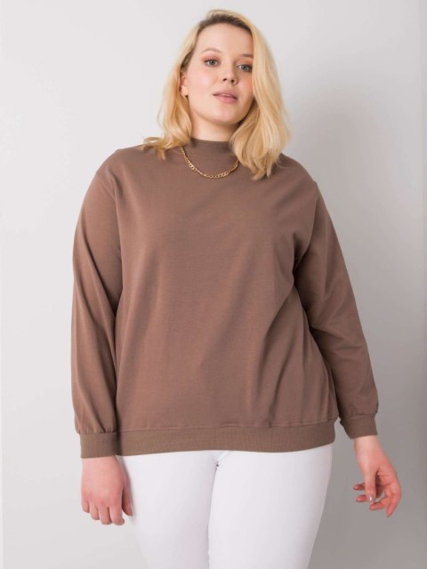 Bluza RV-BL-6299.11 brązowy 3XL