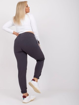 Spodnie dresowe RV-DR-6643.95 grafitowy 2XL