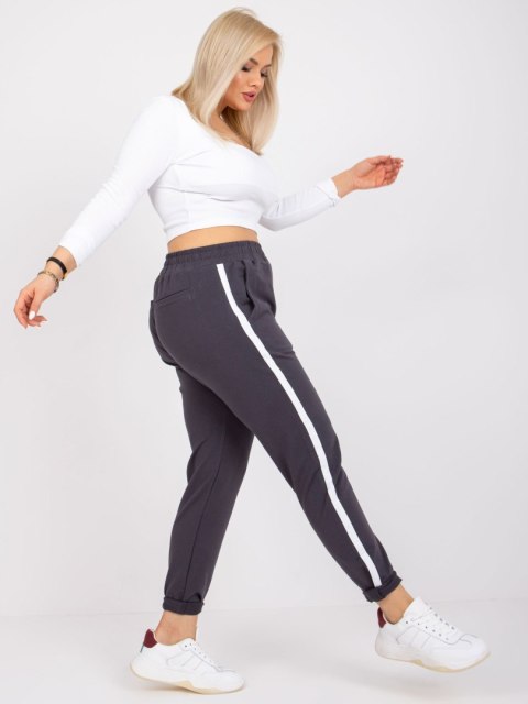 Spodnie dresowe RV-DR-6643.95 grafitowy 2XL