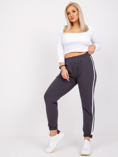 Spodnie dresowe RV-DR-6643.95 grafitowy 3XL