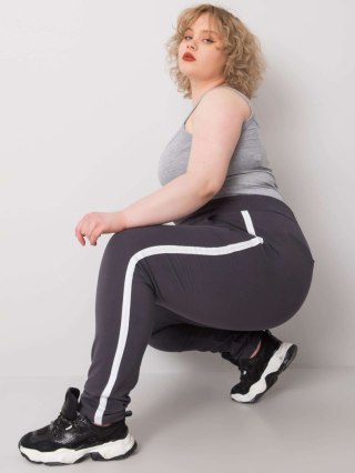 Spodnie dresowe RV-DR-6643.95 grafitowy 4XL