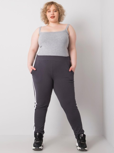 Spodnie dresowe RV-DR-6643.95 grafitowy 4XL