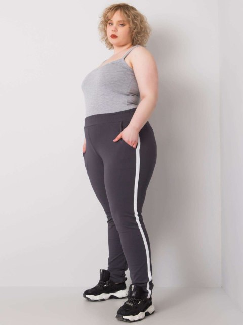 Spodnie dresowe RV-DR-6643.95 grafitowy 4XL