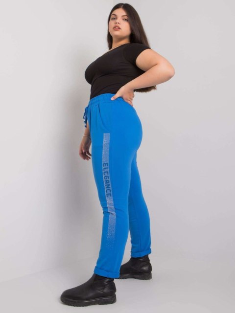 Spodnie dresowe RV-DR-6897.53 ciemny niebieski 4XL Spodnie dresowe RV-DR-6897.53 ciemny niebieski 4XL