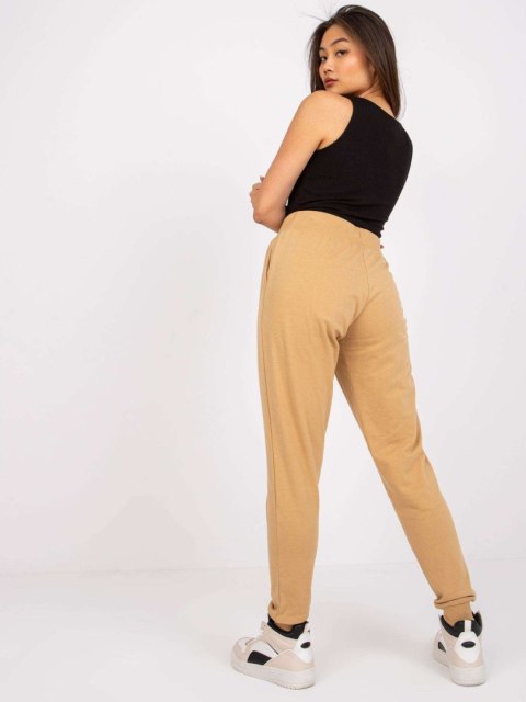 Spodnie dresowe TW-DR-1033.16P camelowy 2XL Spodnie dresowe TW-DR-1033.16P camelowy 2XL