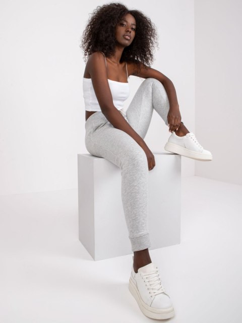 Spodnie dresowe TW-DR-1033.16P szary 2XL