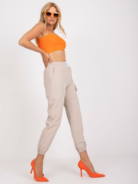 Spodnie DHJ-SP-15832.64 beżowy 2XL