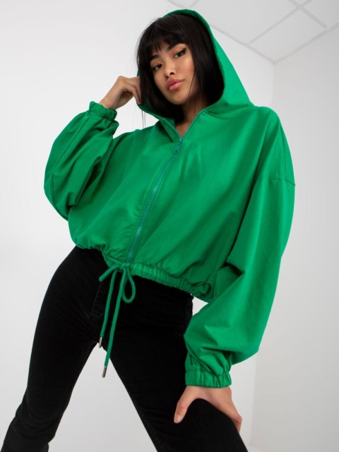 Bluza RV-BL-8081.36P zielony L/XL