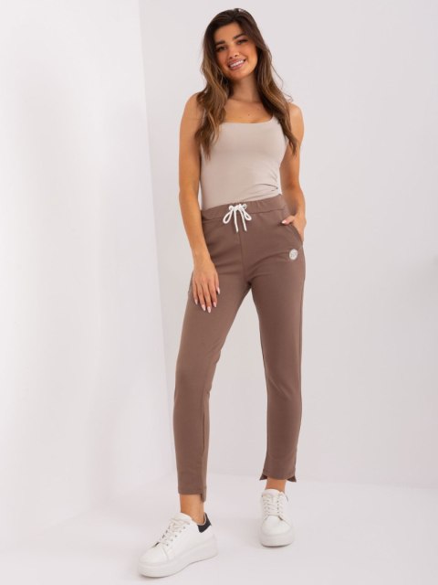 Spodnie dresowe RV-DR-8370-1.57P brązowy L/XL