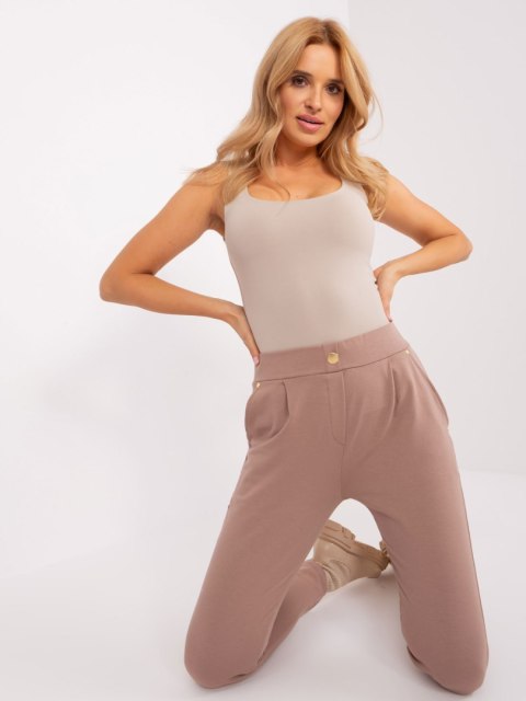 Spodnie dresowe RV-DR-9273.33P ciemny bezowy L/XL