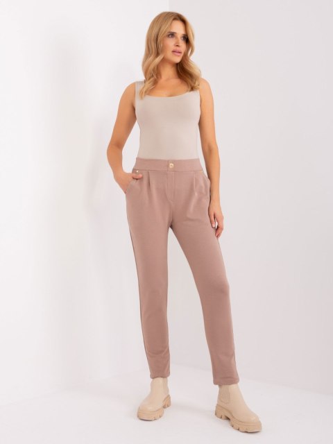 Spodnie dresowe RV-DR-9273.33P ciemny bezowy L/XL
