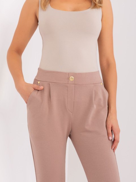 Spodnie dresowe RV-DR-9273.33P ciemny bezowy S/M