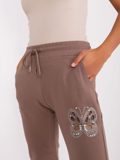 Spodnie dresowe RV-DR-8835.10 brązowy L/XL