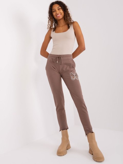 Spodnie dresowe RV-DR-8835.10 brązowy L/XL