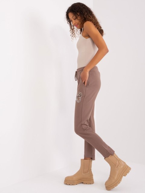 Spodnie dresowe RV-DR-8835.10 brązowy L/XL