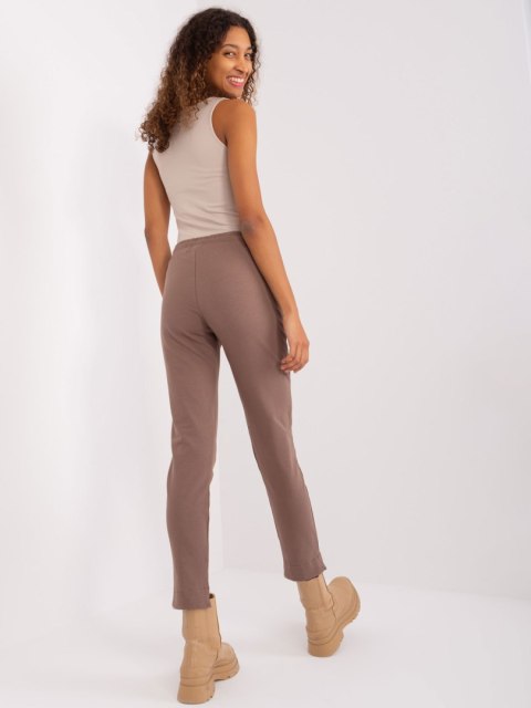 Spodnie dresowe RV-DR-8835.10 brązowy L/XL