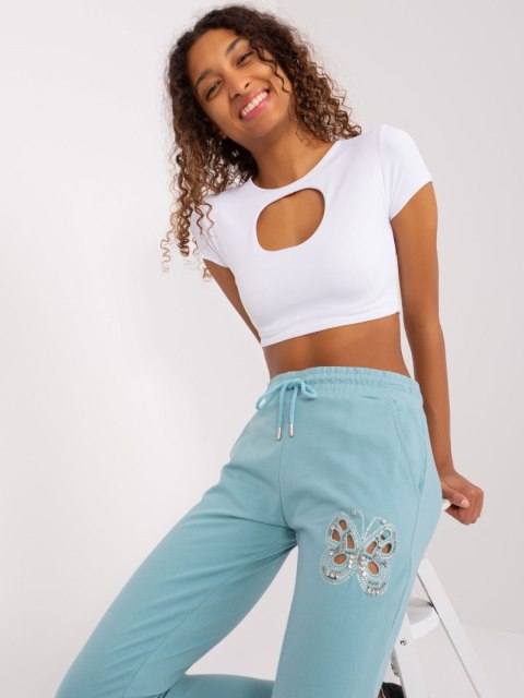 Spodnie dresowe RV-DR-8835.10 pistacjowy L/XL Spodnie dresowe RV-DR-8835.10 pistacjowy L/XL