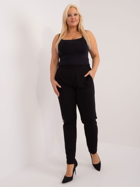 Spodnie dresowe RV-DR-6643.95 czarny 4XL