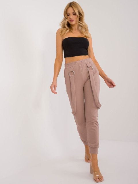 Spodnie dresowe RV-DR-9629.82 ciemny bezowy L/XL Spodnie dresowe RV-DR-9629.82 ciemny bezowy L/XL