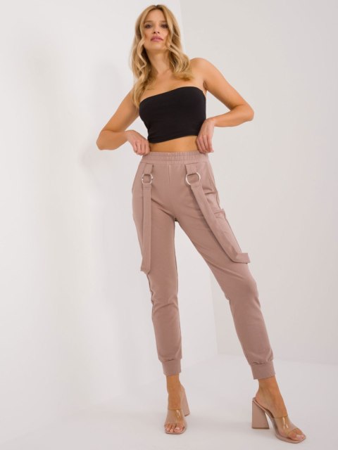 Spodnie dresowe RV-DR-9629.82 ciemny bezowy L/XL Spodnie dresowe RV-DR-9629.82 ciemny bezowy L/XL