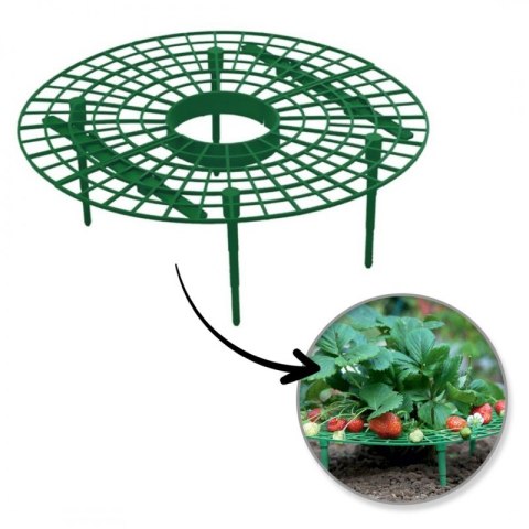 Stojak do uprawy roślin, podpora na truskawki 30 cm ROS20 Stojak do uprawy roślin, podpora na truskawki 30 cm ROS20