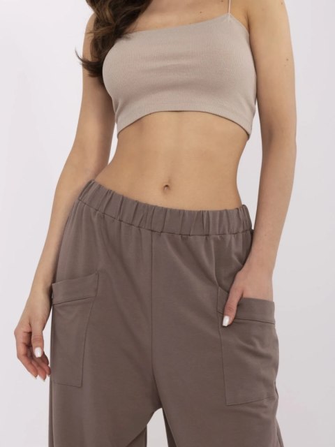 Spodnie dresowe RV-DR-9719.86 brązowy S/M
