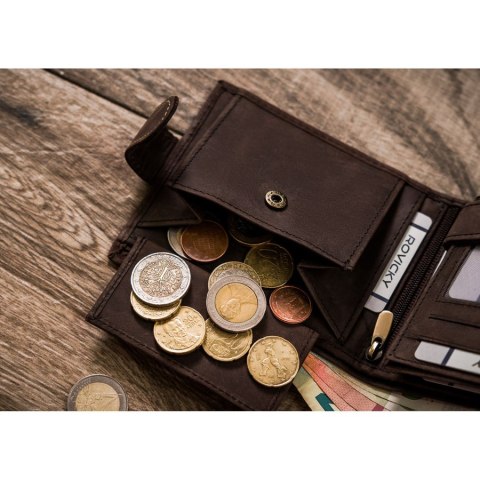 Wnętrze portfela Rovicky – przegrody na dokumenty, karty, bilon i banknoty, RFID