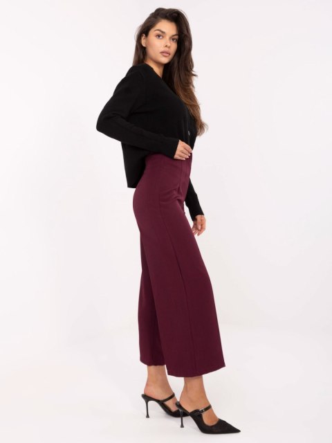Spodnie IT-SP-FL9068.96 bordowy XL