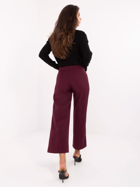 Spodnie IT-SP-FL9068.96 bordowy XL