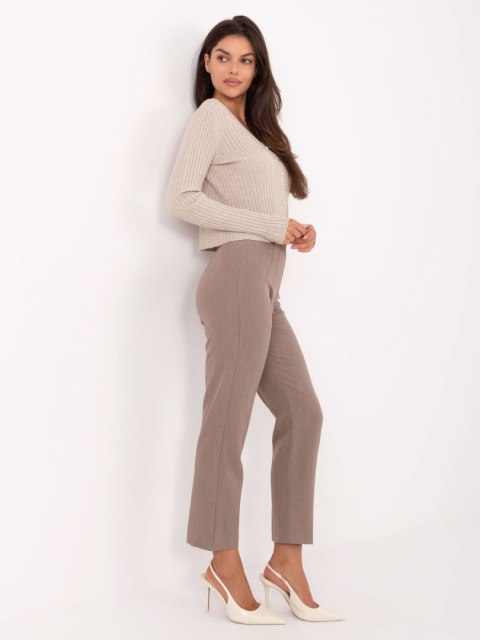 Spodnie IT-SP-FL9069.00 ciemny bezowy L