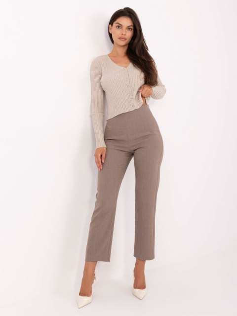 Spodnie IT-SP-FL9069.00 ciemny bezowy M