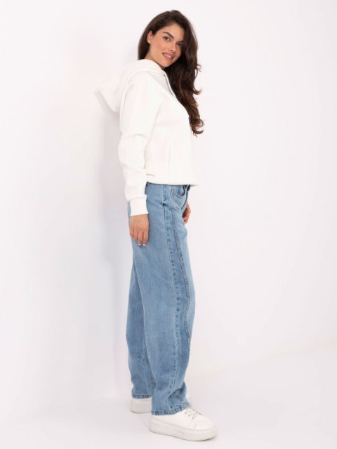 Spodnie D80030BI62569L181 jasny niebieski XXL