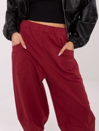Spodnie dresowe RV-DR-9719.86 bordowy L/XL