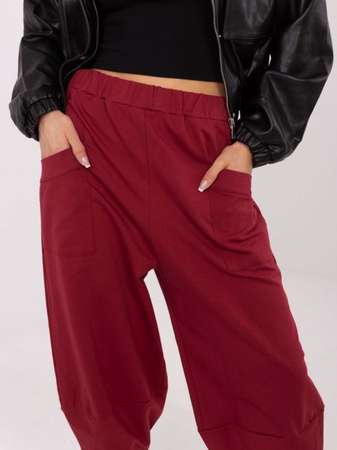 Spodnie dresowe RV-DR-9719.86 bordowy L/XL