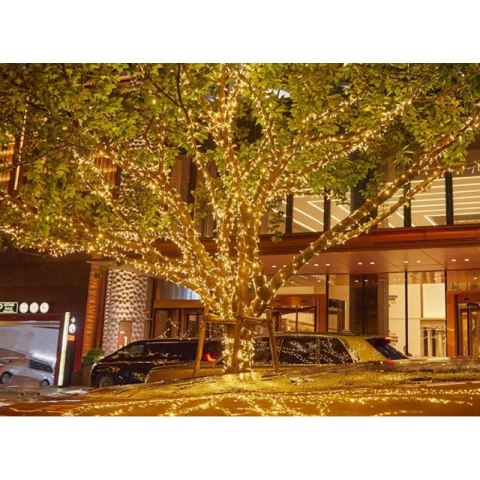 Rolka lampek ryżowych LED z ciepłym światłem – Stylowy Wieszak