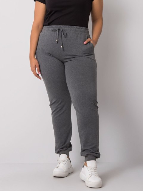 Spodnie dresowe RV-DR-6301.88 ciemny szary 2XL