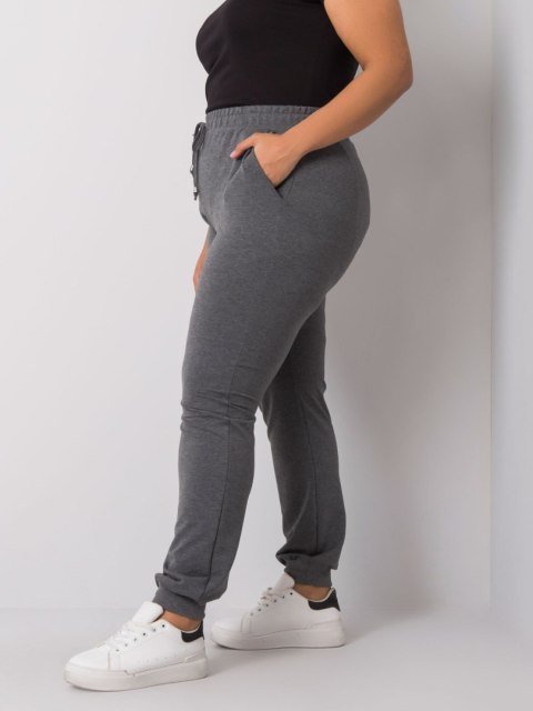 Spodnie dresowe RV-DR-6301.88 ciemny szary 3XL