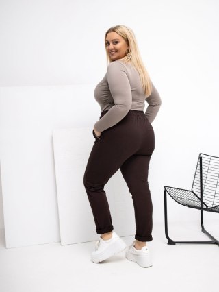 Spodnie dresowe RV-DR-4765.52 ciemny brązowy 2XL