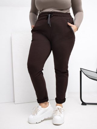 Spodnie dresowe RV-DR-4765.52 ciemny brązowy 3XL