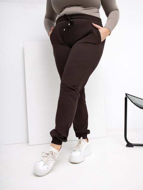 Spodnie dresowe RV-DR-6301.88 ciemny brązowy 2XL