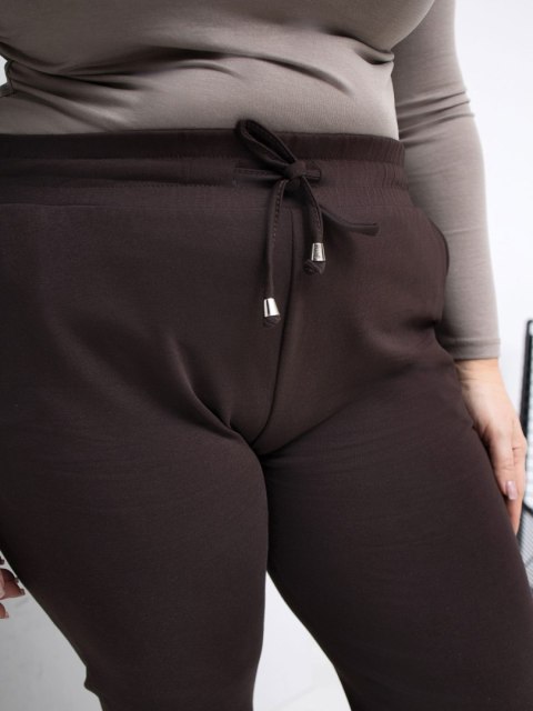 Spodnie dresowe RV-DR-6301.88 ciemny brązowy 4XL