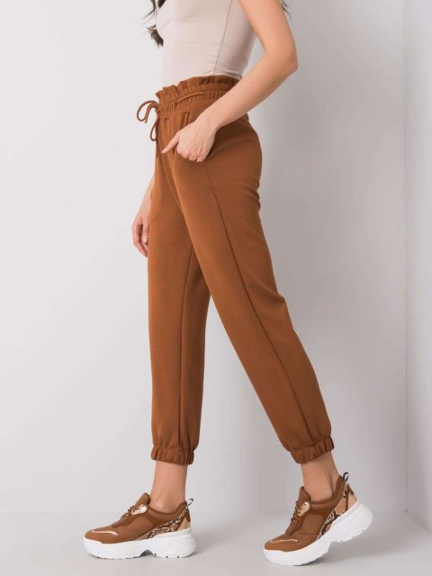 Spodnie dresowe-217-DR-25472.73-brązowy