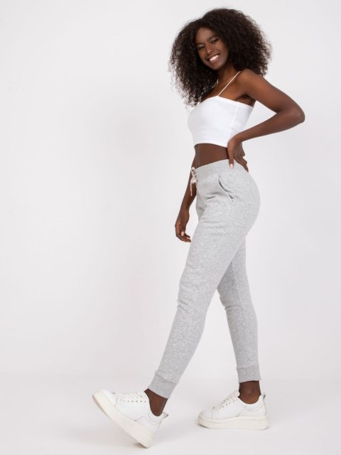 Spodnie dresowe-TW-DR-1033.16P-szary