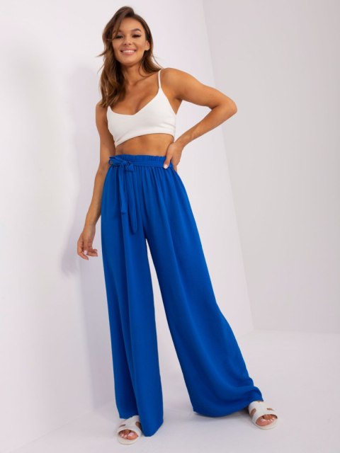 Spodnie-TW-SP-BI-2086.24P-kobaltowy